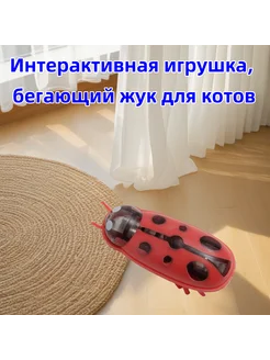 Интерактивная игрушка бегающий жук для котов