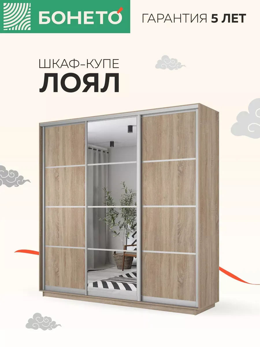 Шкаф-купе Лоял 3 дв ДСП/Зеркало/ДСП 210х60х220