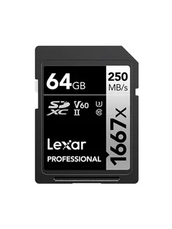 64GB карта памяти Professional 1667x LSD64GCB1667