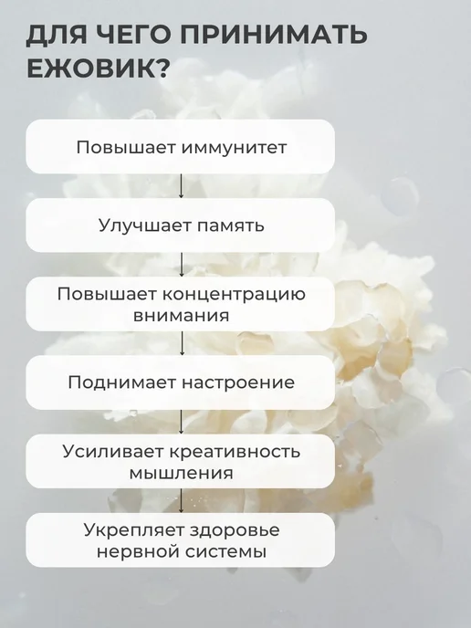 Doc.Goldberg Ежовик Гребенчатый мицелий молотый 250 гр, 250 г, фото 2