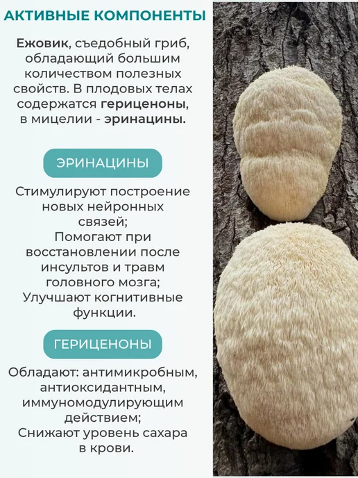 Doc.Goldberg Ежовик Гребенчатый мицелий молотый 250 гр, 250 г, фото 5