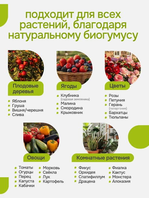 Arpebio Стимулятор роста корней растений 1л концентрат, 1 л, фото 5