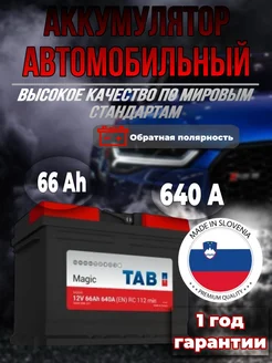 Аккумулятор автомобильный ТАБ 66 Ач 640А TAB 277115049 купить за 11 728 ₽ в интернет-магазине Wildberries