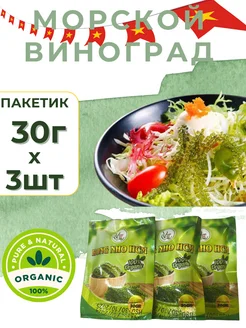 Морской виноград пищевой Уми Будо 3*30 гр GREEN_FOOD 277122879 купить за 263 ₽ в интернет-магазине Wildberries