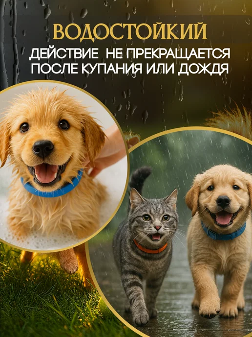 Sternico Ошейник для собак от блох и клещей, фиолетовый, фото 5