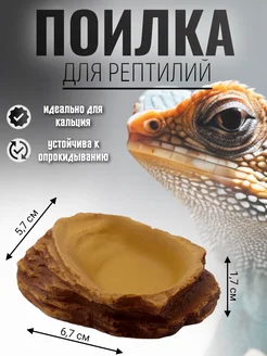 Кормушка-поилка для рептилий и насекомых