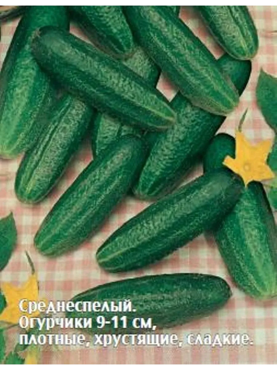 Купить Семена Огурцов В Туле