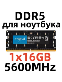 Оперативная память DDR5 5600 МГЦ 16 Гб для ноутбука,1x16 ГБ Crucial 277272225 купить за 4 218 ₽ в интернет-магазине Wildberries