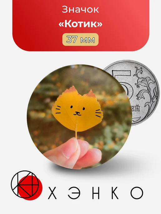 Котик