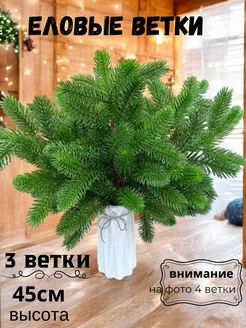 Еловые ветки