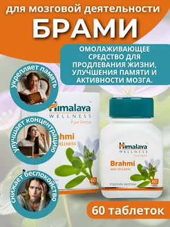 Брами Хималая 60 таб для мозга и памяти AMRITAVEDA 277668186 купить за 340 ₽ в интернет-магазине Wildberries