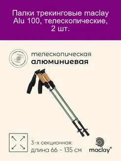 Трекинговые палки Alu 100 телескопические 2 шт