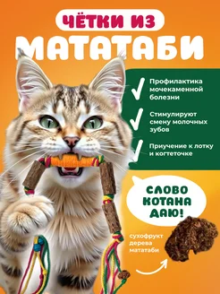 Игрушка для кошек палочки мататаби для зубов Кусалка