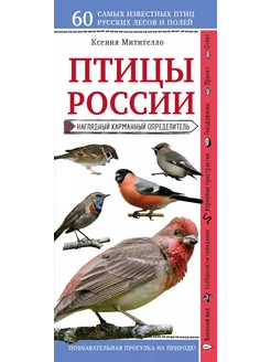 Птицы России. Наглядный карманный определитель