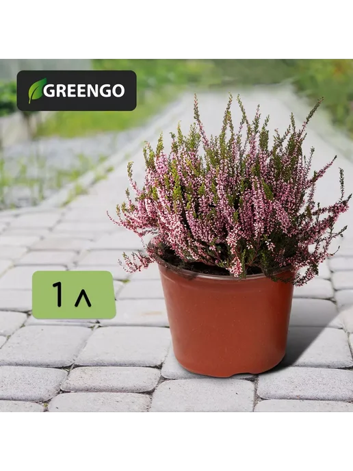 Greengo Горшок для рассады терракотовый 10.5 см d 350 мл, 20 шт, 12.5x12.5x9.5 см, 1 л, фото 2