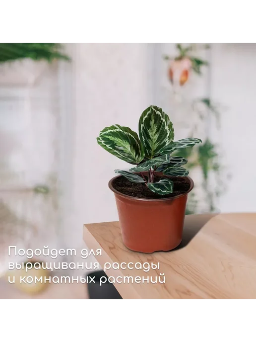 Greengo Горшок для рассады терракотовый 10.5 см d 350 мл, 20 шт, 12.5x12.5x9.5 см, 1 л, фото 4