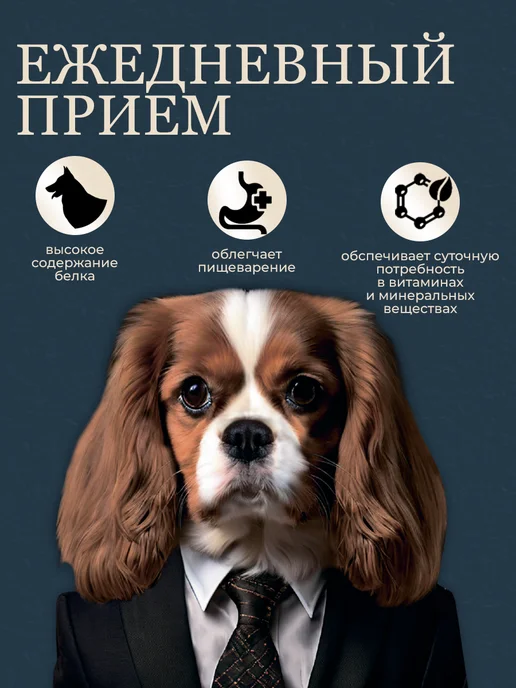 Сухой корм Pets Ministry для собак, мелкие, говядина, 0,7 кг, фото 2