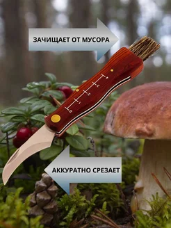 Нож грибника со щеточкой Palisad 278043169 купить за 291 ₽ в интернет-магазине Wildberries