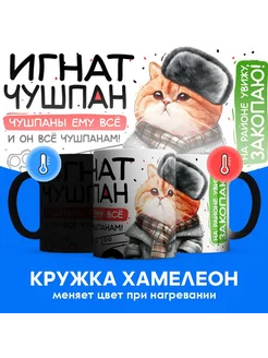 Кружка хамелеон Игнат чушпан