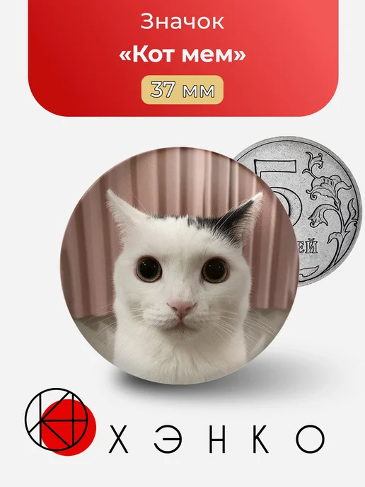 Кот мем