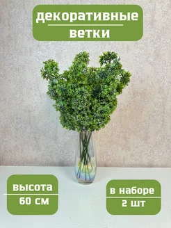 Еловая ветка с шишками