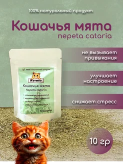 Кошачья мята