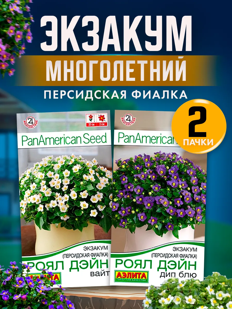 Семена экзакума