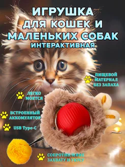 Игрушка для кошек интерактивная дразнилка