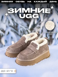 Низкие угги ugg TM TISATA 279548154 купить за 6 156 ₽ в интернет-магазине Wildberries