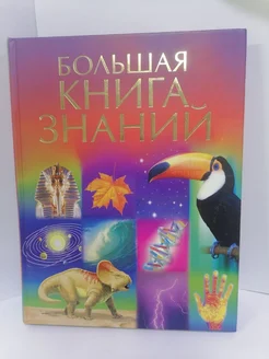 Большая книга знаний Чандлер Фиона