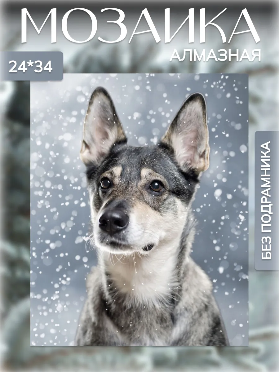 Алмазная мозаика без...