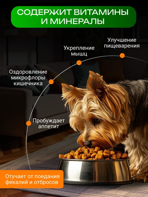 Беговая Черепаха Рубец говяжий молотый для собак сушеный 80 гр, 80 г, фото 2