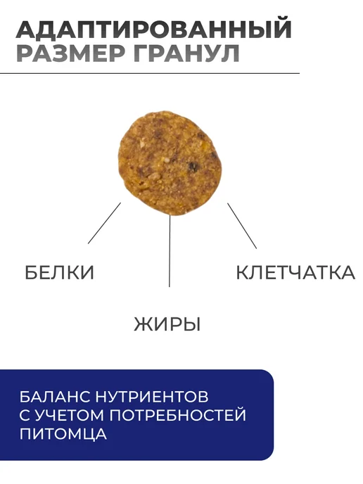 Сухой корм Farmina Фармина Черника для собак, беззерновой, мелкие, ягненок, 2,5 кг, фото 2