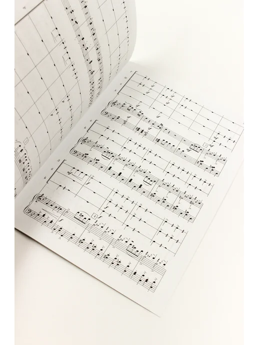 Издательский дом Фаина Геллер Е.А. Детский шумовой оркестр. Вып. 2, вариант, фото 5