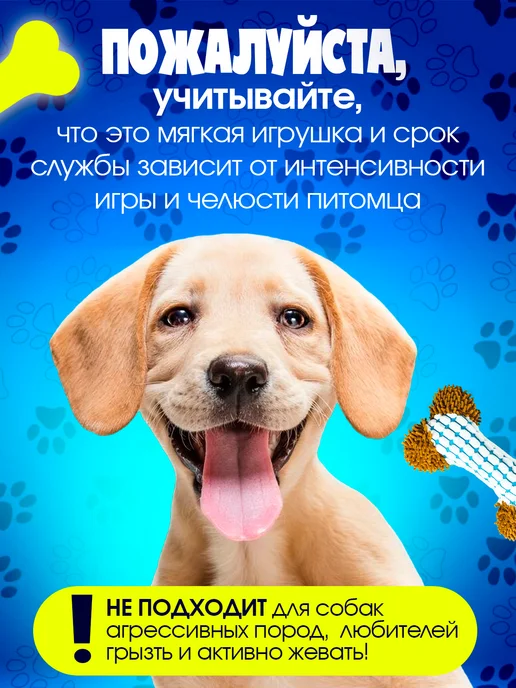 Tooth for tooth Мягкая интерактивная игрушка для собак кость, голубой, фото 5