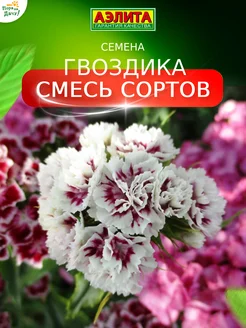 Семена цветов Гвоздика Букетная махровая, смесь сортов 0,1г