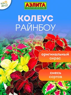 Семена цветов Колеус блюме Райнбоу, смесь сортов 0,05г