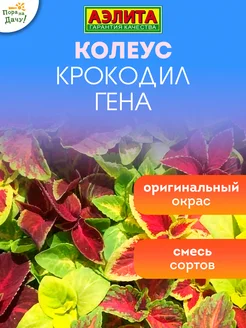 Семена цветов Колеус блюме Крокодил Гена, смесь сортов 0,05г