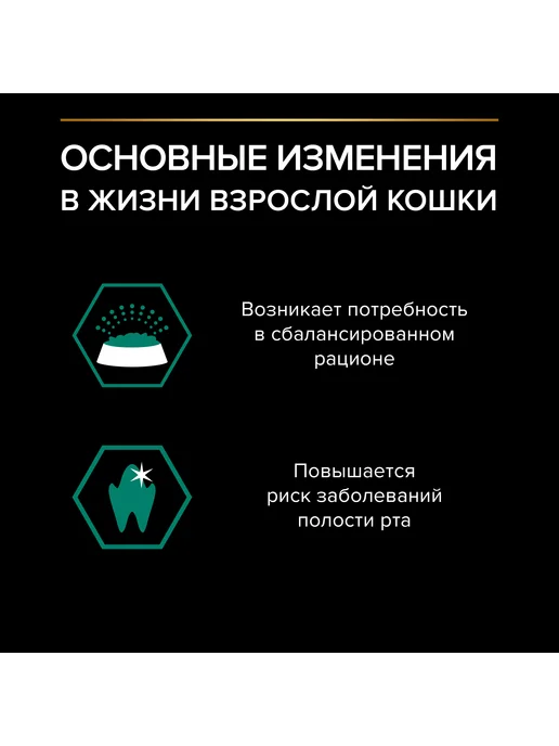 PRO PLAN Влажный корм для взрослых кошек, говядина в соусе 26x85 гр, 26x85, 85 г, фото 5
