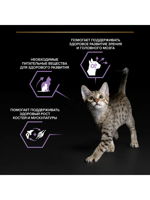 PRO PLAN Влажный корм для котят всех пород, лосось в соусе 26x85 гр, 26x85, 85 г, фото 6