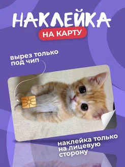 Наклейка на банковскую карту котик мем StickPlus 280502108 купить за 89 ₽ в интернет-магазине Wildberries