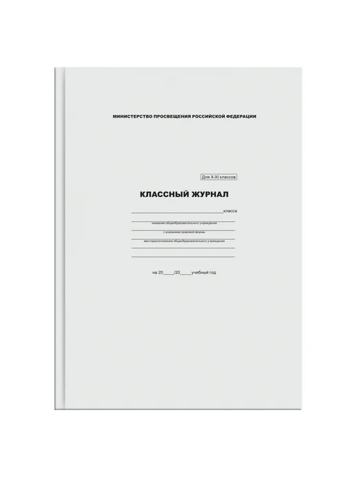 BG Классный журнал 10 - 11 классы, вариант
