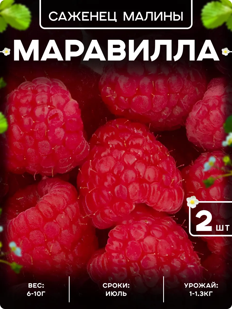 Саженцы малины Маравилла