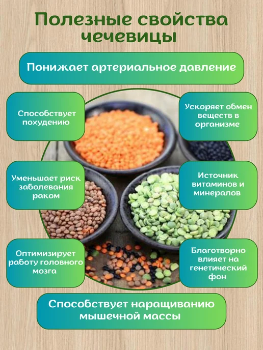 Экопродукты Алтая Чечевица зеленая Алтайская 5 кг для проращивания, 5 кг, фото 3