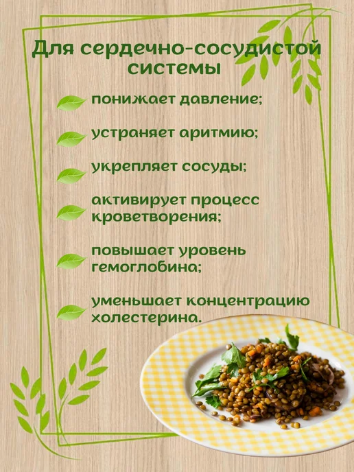 Экопродукты Алтая Чечевица зеленая Алтайская 5 кг для проращивания, 5 кг, фото 5