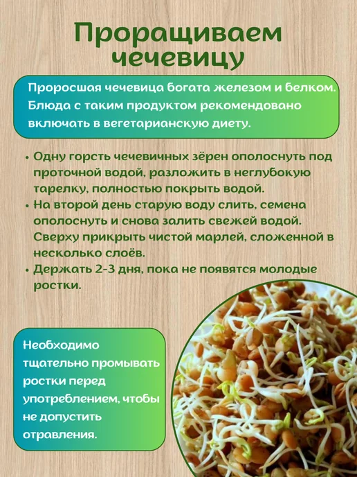 Экопродукты Алтая Чечевица зеленая Алтайская 5 кг для проращивания, 5 кг, фото 8