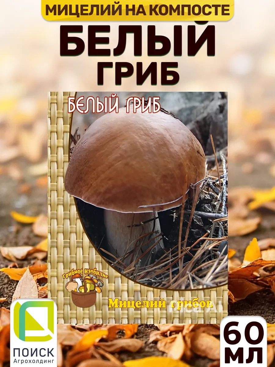 Грибы Белые грибы для выращивания