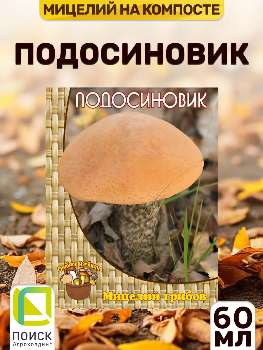 Грибы Подосиновик для выращивания