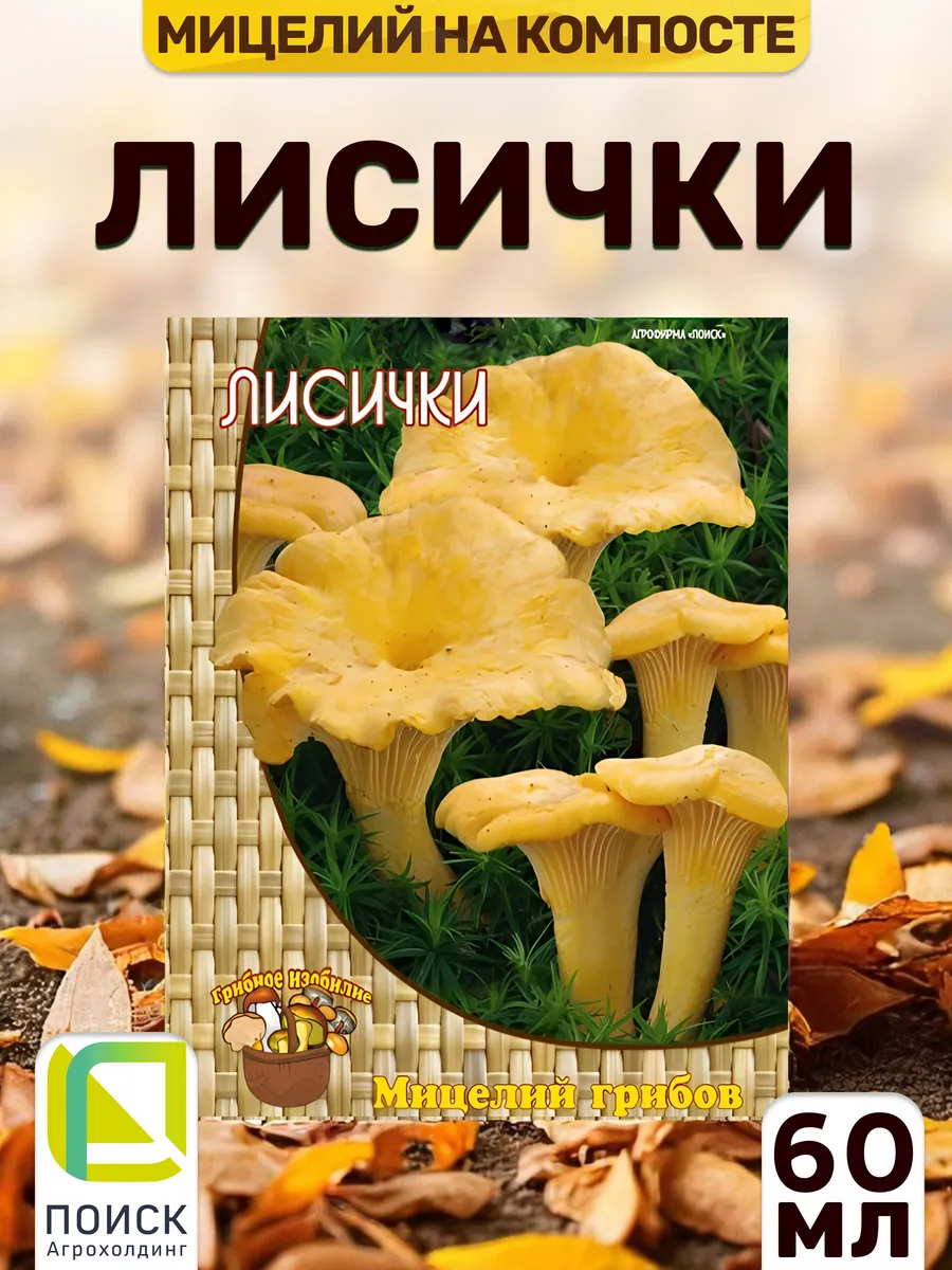 Грибы Лисички для выращивания