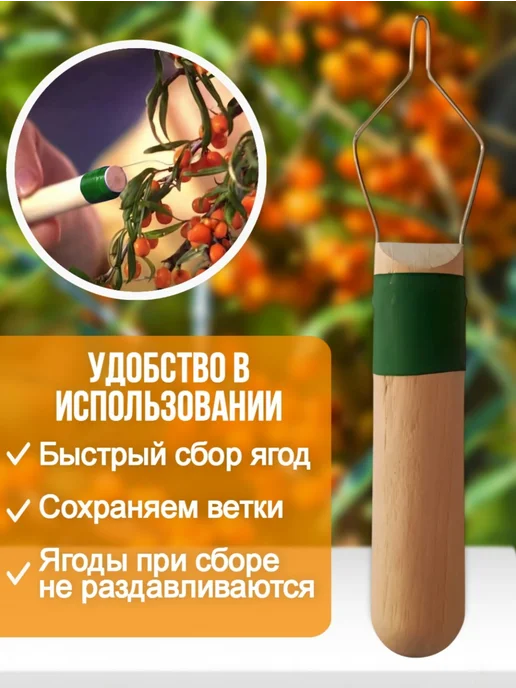 MILANTIS Ягодосборник приспособление для сбора облепихи "Кобра", зеленый, фото 3